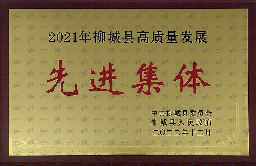 Chất lượng cao Advanced Collective